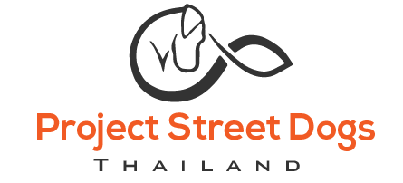 Project Street Dogs Thailand
