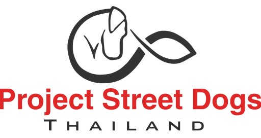 Project Street Dogs Thailand